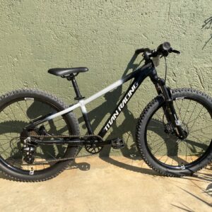 24 inch Titan Drone Childrens Bicycle (C2)